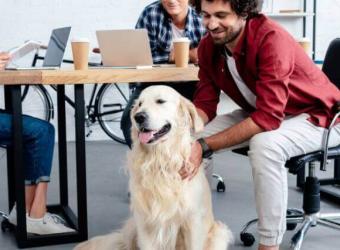 National Take Your Dog to Work Day – An Etiquette Guide to Success